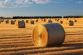 Post harvest beauty Golden hay bales adorn the vast agricultural field Royalty Free Stock Photo