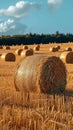 Post harvest beauty Golden hay bales adorn the vast agricultural field Royalty Free Stock Photo