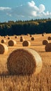 Post harvest beauty Golden hay bales adorn the vast agricultural field Royalty Free Stock Photo