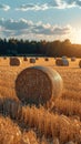 Post harvest beauty Golden hay bales adorn the vast agricultural field Royalty Free Stock Photo