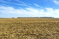 Post-harvest residues of corn on the field before being processed into the soil as organic Royalty Free Stock Photo
