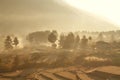 Post-harvest rice field during misty morning in small village Royalty Free Stock Photo