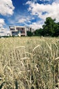 Post-Modern Architecture Behind Wheat Field