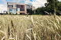 Post-Modern Architecture Behind Wheat Field