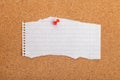 Pinned blank paper note on background Royalty Free Stock Photo