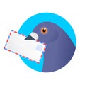 A post pigeon with an envelope in the beak.