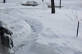 Snow Covered Yard with Shoveled Path for Delivery People after a Snowstorm