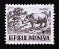 Postage stamp Indonesia 1956. Sumatran Rhinoceros Dicerorhinus sumatrensis