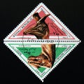 Triangle postage stamp 1997. Kritosaurus and Lambeosaurus dinosaur