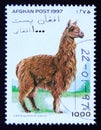 Postage stamp Afghanistan 1997, Alpaca, Lama guanicoe pacos