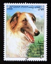 Postage stamp Afghanistan, 1998. Borzoi dog breed Canis lupus familiaris