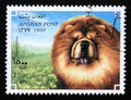 Postage stamp Afghanistan, 1998. Chow Chow dog breed Canis lupus familiaris