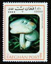 Postage stamp Afghanistan 1999. Field mushroom Agaricus campestris mushroom