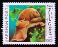 Postage stamp Afghanistan 1999. Fly Specked Natica Natica millepunctata snail Royalty Free Stock Photo