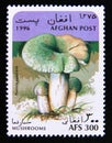 Postage stamp Afghanistan 1996. Green cracking Russula Russula virescens mushroom