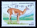 Postage stamp Afghanistan 1997, Guanaco, Lama guanicoe Royalty Free Stock Photo