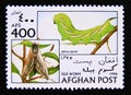 Postage stamp Afghanistan 1996. Privet Hawkmoth Sphinx ligustri butterfly insect Royalty Free Stock Photo