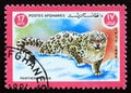 Postage stamp Afghanistan 1984, Snow Leopard, Panthera uncia