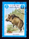 Postage stamp Afghanistan 1984, Wild Boar, Sus scrofa