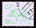 Postage stamp Afghanistan 1998, Wild Boar, Sus scrofa