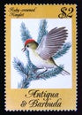 Postage stamp Antigua and Barbuda, 1984. Ruby crowned Kinglet Corthylio calendula bird