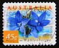 Postage stamp Australia, 1999. Australian Bluebells Wahlenbergia stricta flower
