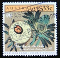 Postage stamp Australia, 1986. Banksia serrata flower