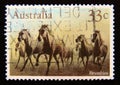 Postage stamp Australia, 1986. Brumbies Wild Horses