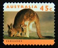 Postage stamp Australia, 1994. Eastern Grey Kangaroo Macropus giganteus Marsupial