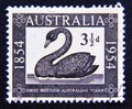 Postage stamp Australia, 1954. First Western Australia Stamp Black Swan bird