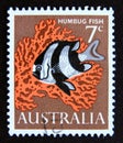 Postage stamp Australia, 1966. Humbug Fish Dascyllus aruanus fish Royalty Free Stock Photo