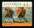 Postage stamp Australia, 1994. Red Kangaroo Macropus rufus Marsupial