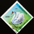 Postage stamp Belarus, 1994. Mute Swan Cygnus olor bird