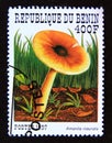 Postage stamp Benin 1997. Amanita inaurata mushroom Royalty Free Stock Photo