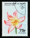 Postage stamp Benin, 1995. Amaryllis belladonna orchid Flower