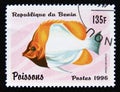 Postage stamp Benin 1996. Butterflyfish family Chaetodontidae