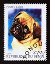 Postage stamp Benin, 2000. Pug Dog Canis lupus familiaris