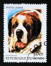 Postage stamp Benin, 2000. Saint Bernard Dog Canis lupus familiaris