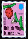 Postage stamp British Virgin Islands, 1979. Strawberry Cactus Hylocereus trigonus