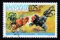 Postage stamp Bulgaria 2002. Bergisch Crower and Ancona Chicken Gallus gallus domesticus Royalty Free Stock Photo