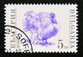 Postage stamp Bulgaria, 1991. Domesticated Turkey Meleagris gallopavo