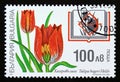 Postage stamp Bulgaria, 1997. Plants of Bulgarian Red Book flower