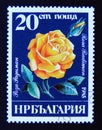 Postage stamp Bulgaria, 1985. Rosa radiman rose flower