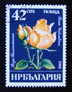 Postage stamp Bulgaria, 1985. Rosa Valentina rose flower