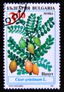 Postage stamp Bulgaria 1995. Soya bean plant