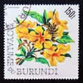 Postage stamp Burundi, 1966. Markhamia lutea flower Royalty Free Stock Photo