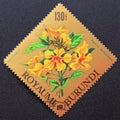 Postage stamp Burundi, 1966. Markhamia lutea flower Royalty Free Stock Photo