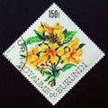 Postage stamp Burundi, 1966. Markhamia lutea flower Royalty Free Stock Photo