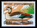 Postage stamp Cambodia 1997. Egyptian Goose Alopochen aegyptiaca bird