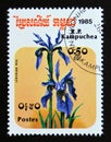 Postage stamp Cambodia, 1985. Iris delavayi flower